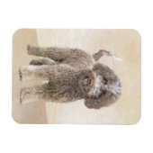 Lagotto Romagnolo Painting - Cute Original Dog Art Magneet (Horizontaal)