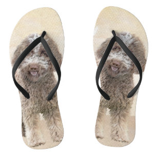 Lagotto Romagnolo Painting - Cute Original Dog Art Teenslippers