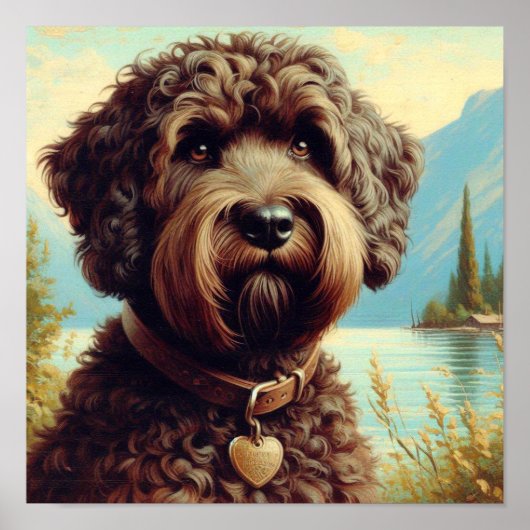  Lagotto Romagnolo schilderij Poster (Voorkant)