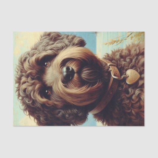  Lagotto Romagnolo schilderij Tissuepapier (Voorkant)