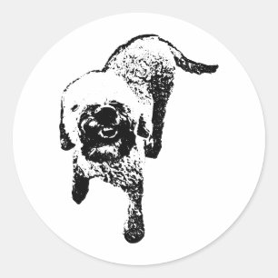Lagotto Romagnolo Sticker – Staande Inkt Hond