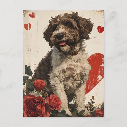 Lagotto Romagnolo  Valentijnsdag Briefkaart (Voorkant)