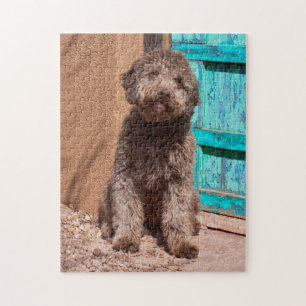 Lagotto Romagnolo Wacht Bij Een Blauwe Deur Legpuzzel