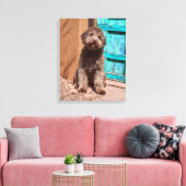 Lagotto Romagnolo wacht op een blauwe deur Canvas Afdruk (Insitu (Woonkamer))