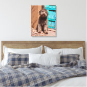 Lagotto Romagnolo wacht op een blauwe deur Canvas Afdruk (Insitu (Slaapkamer))