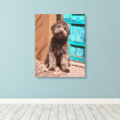 Lagotto Romagnolo wacht op een blauwe deur Canvas Afdruk (Insitu (Houten vloer))