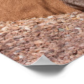 Lagotto Romagnolo wacht op een blauwe deur Poster (Hoek)