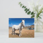 Laguna Azul, landschap met paarden Briefkaart (Staand voorkant)