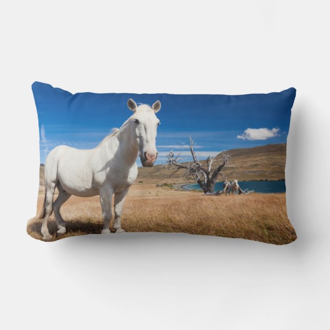 Laguna Azul, landschap met paarden Kussen (Voorkant)