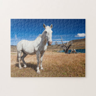 Laguna Azul, landschap met paarden Legpuzzel
