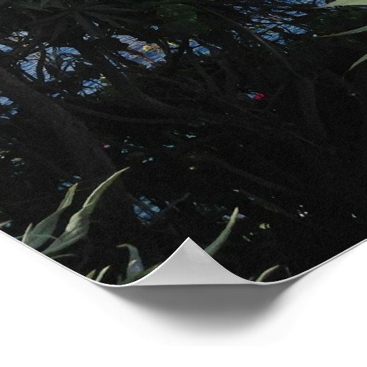 Laguna Beach Ocean Uitzicht Poster (Hoek)