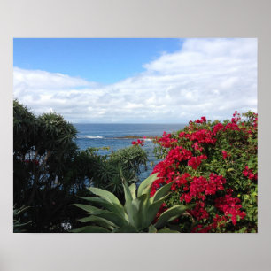 Laguna Beach Ocean Uitzicht Poster