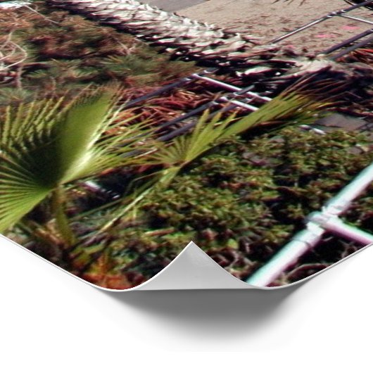 Laguna Beach Poster (Hoek)