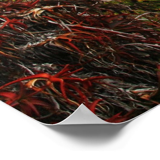 Laguna Beach Poster (Hoek)