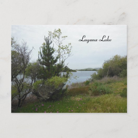 Laguna Lake, San Luis Obispo, na regen Briefkaart (Voorkant)