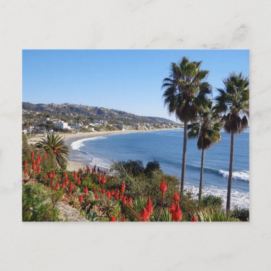 laguna strand californië briefkaart (Voorkant)