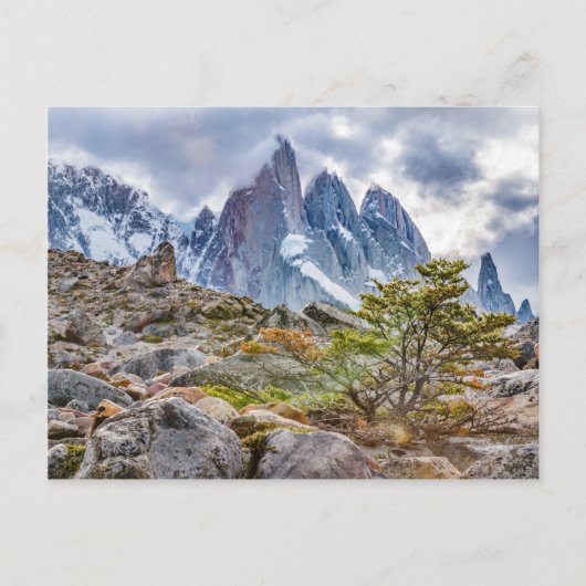 Laguna Torre El Chalten Argentina Briefkaart (Voorkant)