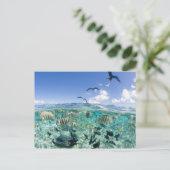 Lagune safari trip met Stingrays Briefkaart (Staand voorkant)