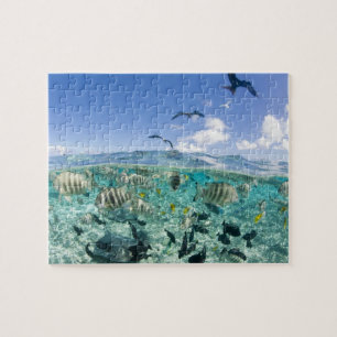 Lagune safari trip met Stingrays Legpuzzel