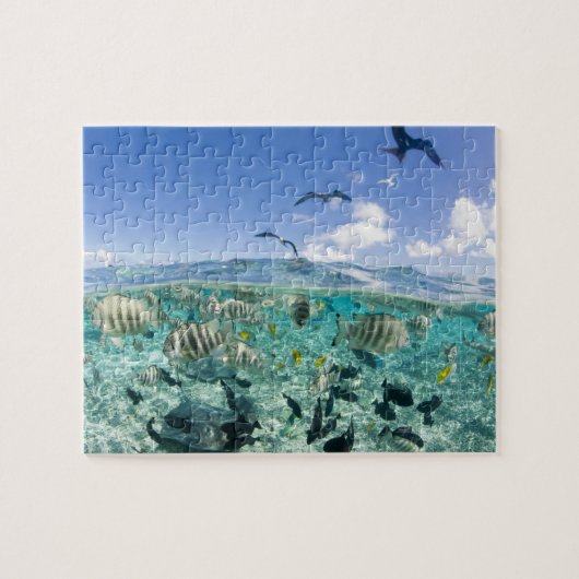 Lagune safari trip met Stingrays Legpuzzel (Horizontaal)