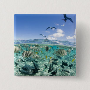 Lagune safari trip met Stingrays Vierkante Button 5,1 Cm