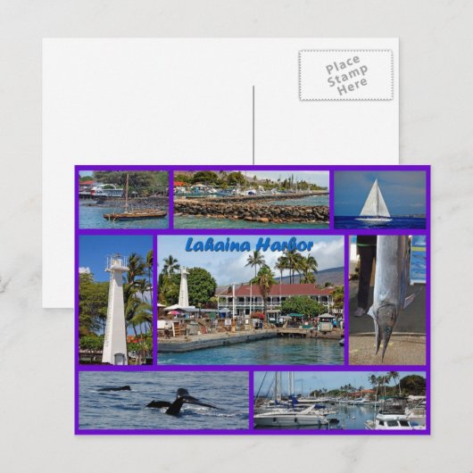 Lahaina Harbour Briefkaart (Voorkant / Achterkant)