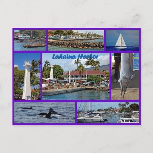 Lahaina Harbour Briefkaart (Voorkant)