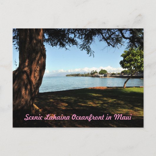 Lahaina Maui Scenic Postcard Briefkaart (Voorkant)
