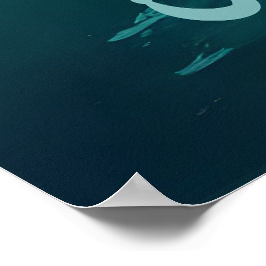 Lahaina Tribute Poster (Hoek)