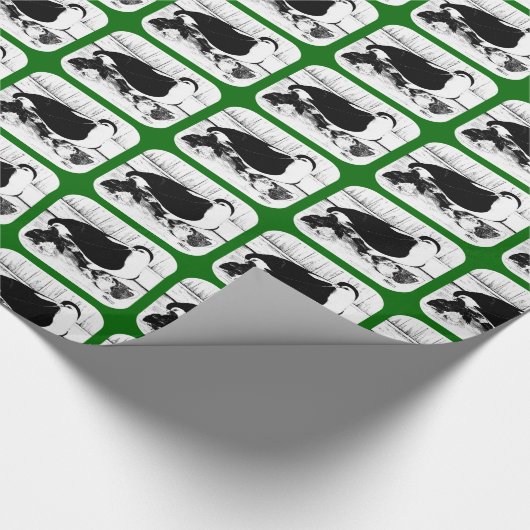 Lahore Duiven 1980 Cadeaupapier (Hoek)