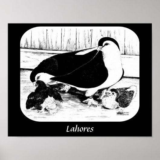Lahores 1980 poster (Voorkant)