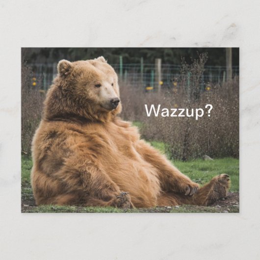 laid-back grizzly Beer Briefkaart (Voorkant)
