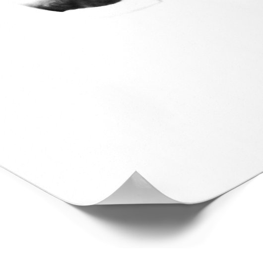 Laid in Light Poster (Hoek)