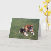 Laid Terug Kaart (Gele Bloem)