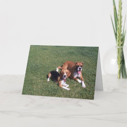 Laid Terug Kaart (Voorkant)