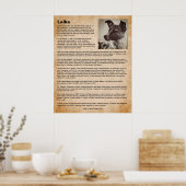 Laika, de eerste hond in de ruimte poster (Keuken)