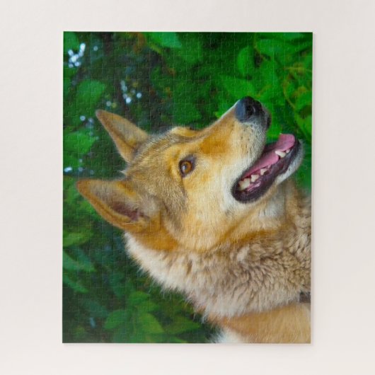 Laika Dog Jigsaws. Legpuzzel (Verticaal)