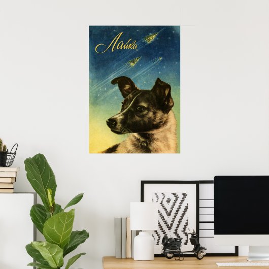 Laika, eerste ruimtehond — poster Sovjet-ruimte (Thuiskantoor)