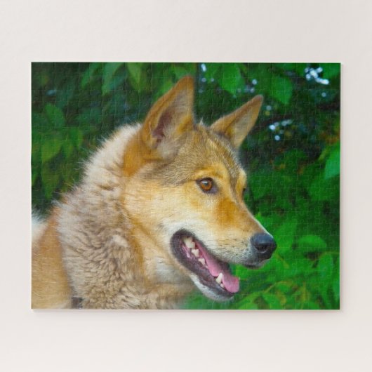 Laika Honden Legpuzzels. Legpuzzel (Horizontaal)