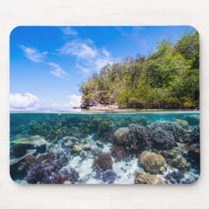 Laja Ampat Underwater 2 Muismat
