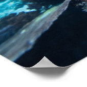 Laja Ampat Underwater 2 Poster (Hoek)