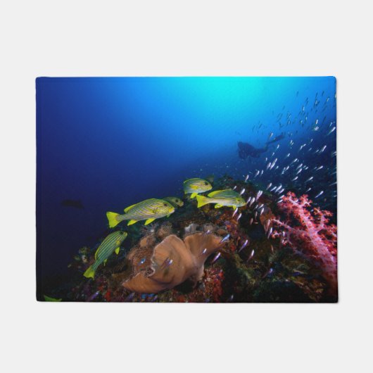 Laja Ampat Underwater 3 Deurmat (Voorkant)