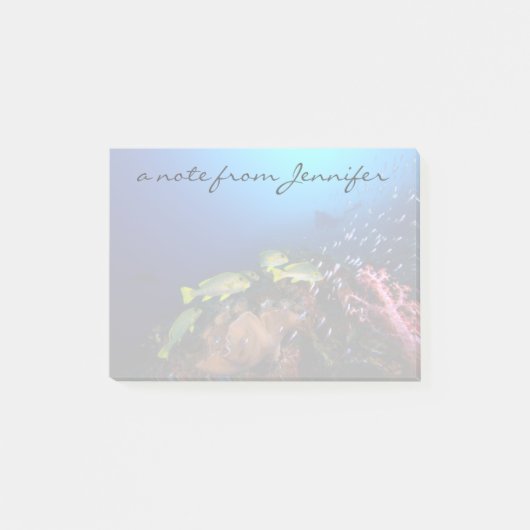 Laja Ampat Underwater 3 Post-it® Notes (Voorkant)