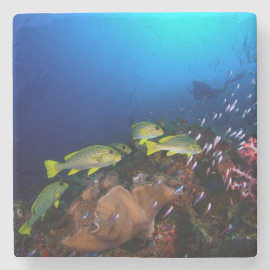 Laja Ampat Underwater 3 Stenen Onderzetter (Voorkant)