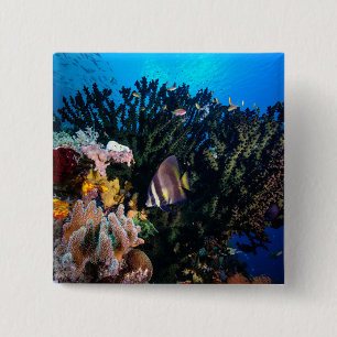 Laja Ampat Underwater 4 Vierkante Button 5,1 Cm
