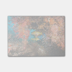 Laja Ampat Underwater 6 Post-it® Notes