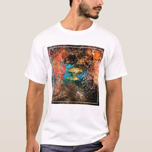 Laja Ampat Underwater 6 T-shirt (Voorkant)