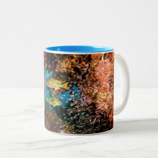 Laja Ampat Underwater 6 Tweekleurige Koffiemok (Voorkant rechts)