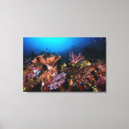 Laja Ampat Underwater Canvas Afdruk (Voorkant)
