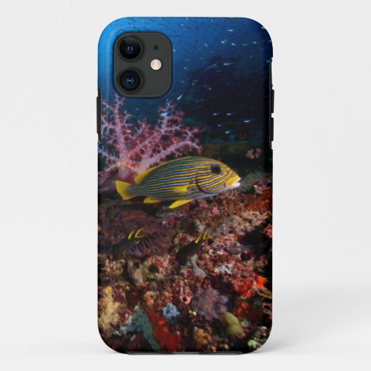Laja Ampat Underwater Case-Mate iPhone Case (Achterkant)